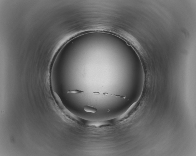 X0000112091332200908041442