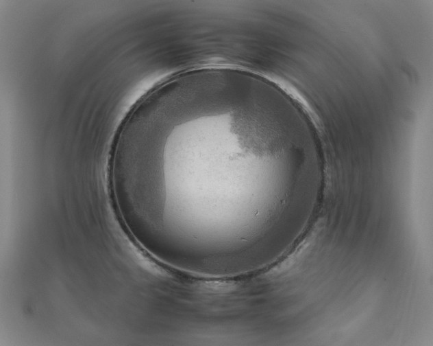 X0000112091333200908041442