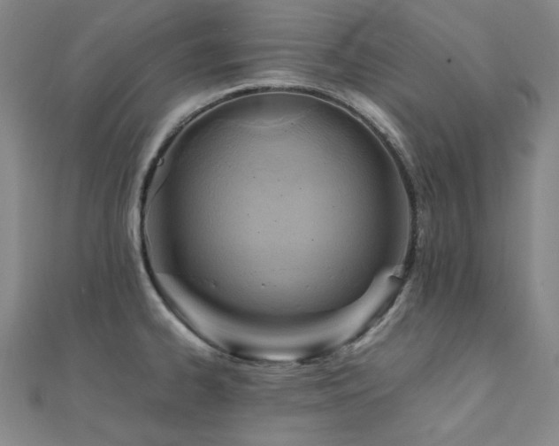 X0000112091334200908041442