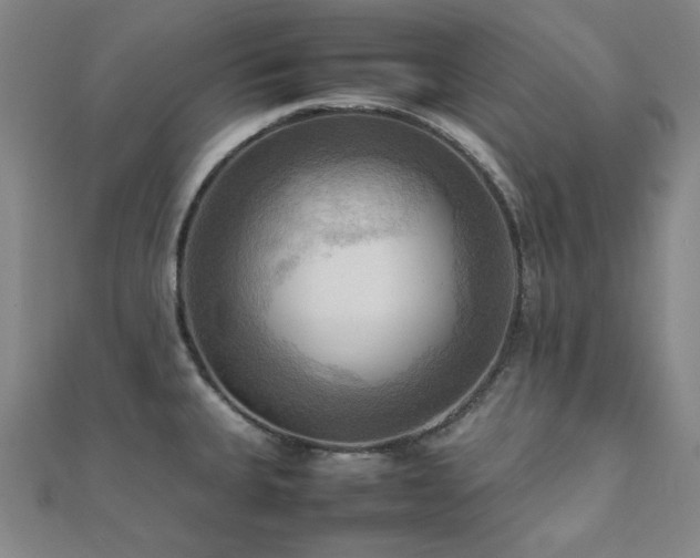 X0000112091335200908041442