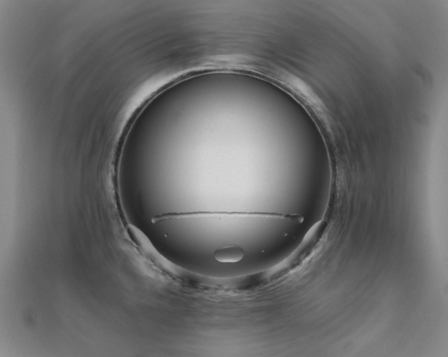 X0000112091336200908041442
