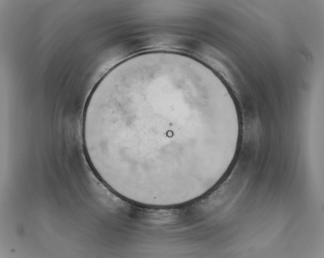 X0000112091338200908041442