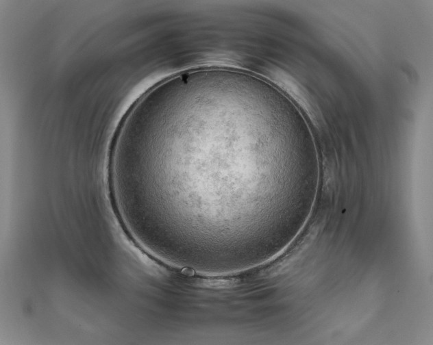 X0000112091339200908041442