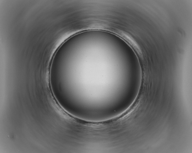 X0000112091340200908041442