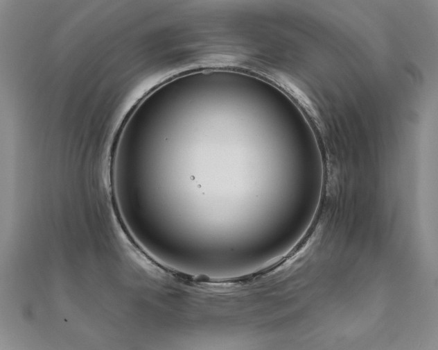 X0000112091342200908041442