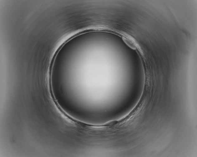 X0000112091343200908041442