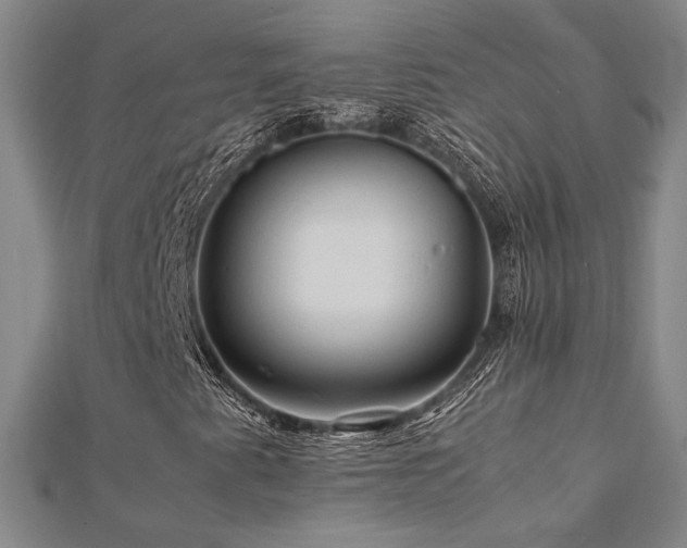 X0000112091345200908041442