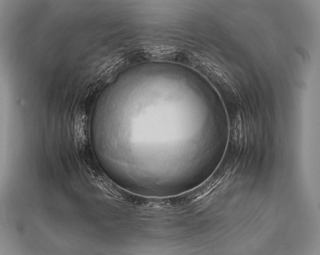 X0000112091346200908041442