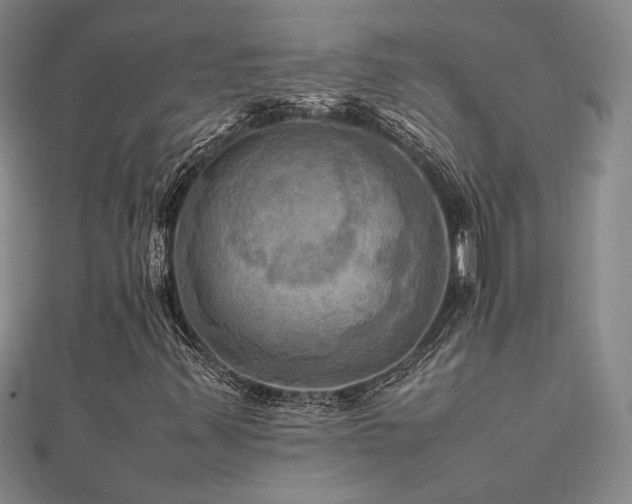 X0000112091347200908041442