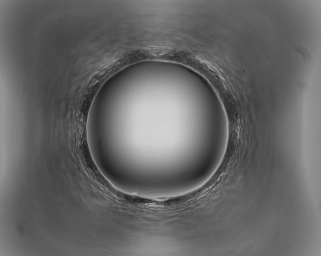 X0000112091349200908041442