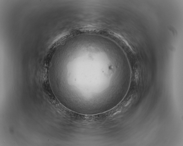 X0000112091350200908041442