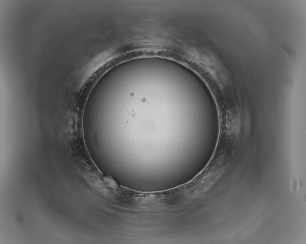 X0000112091352200908041442