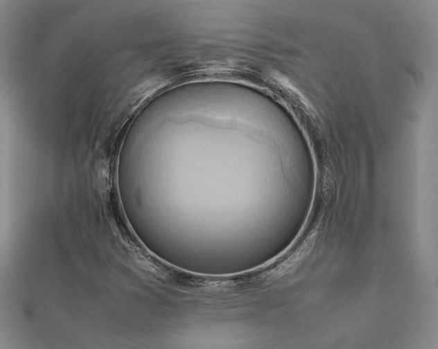 X0000112091353200908041442