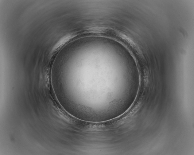 X0000112091354200908041442