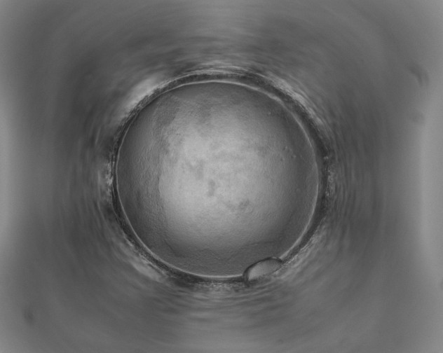 X0000112091355200908041442
