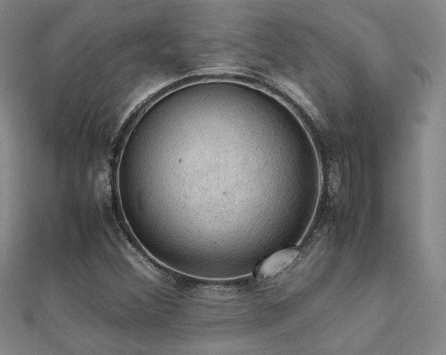 X0000112091356200908041442