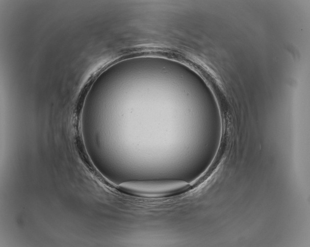 X0000112091357200908041442