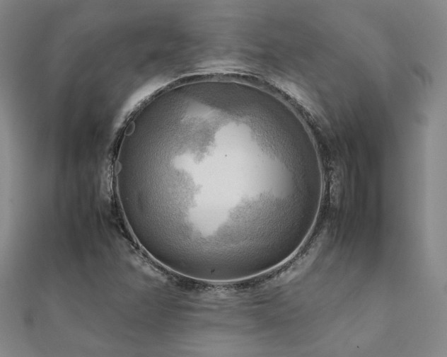 X0000112091358200908041442