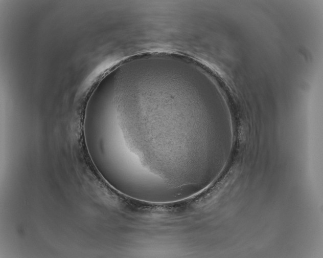 X0000112091359200908041442