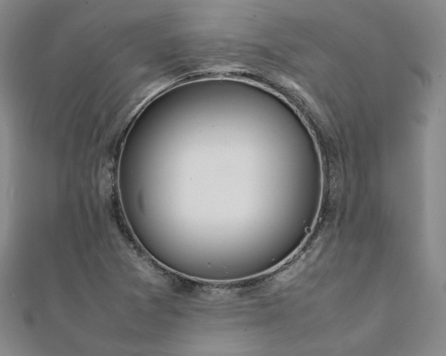 X0000112091361200908041442