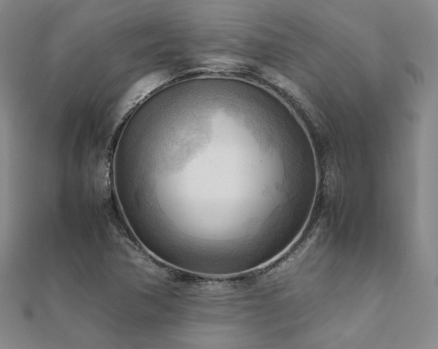 X0000112091362200908041442