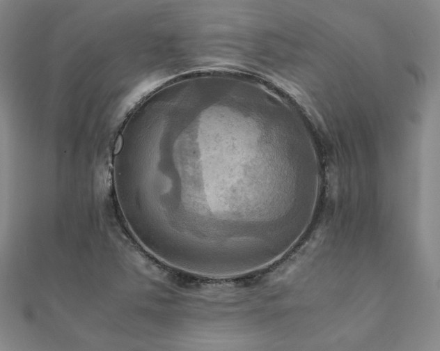 X0000112091363200908041441