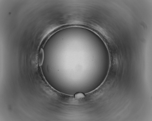 X0000112091364200908041441