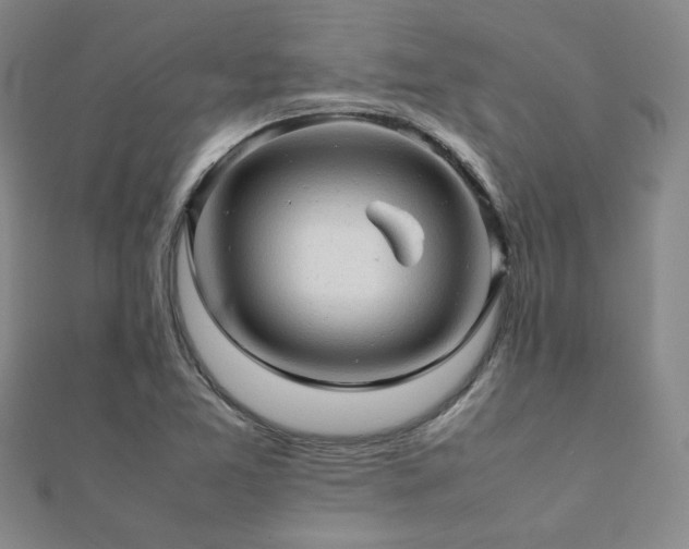 X0000112091365200908041441