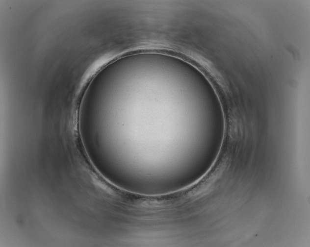 X0000112091366200908041441