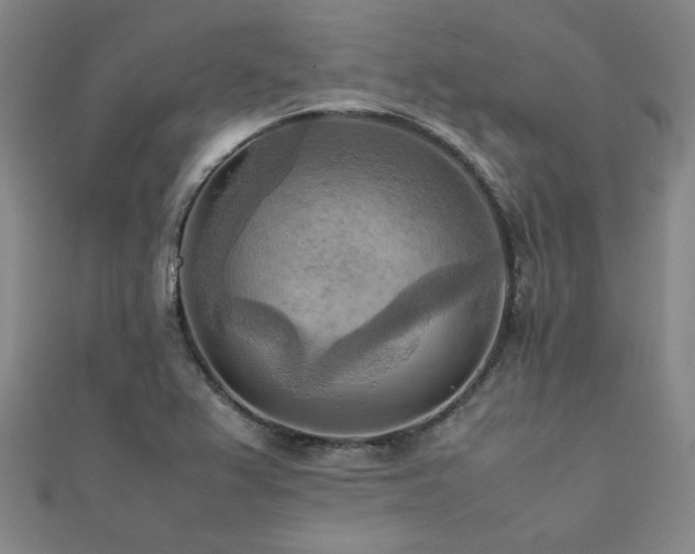 X0000112091367200908041441
