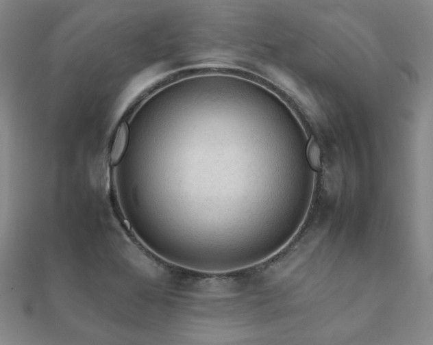 X0000112091368200908041441