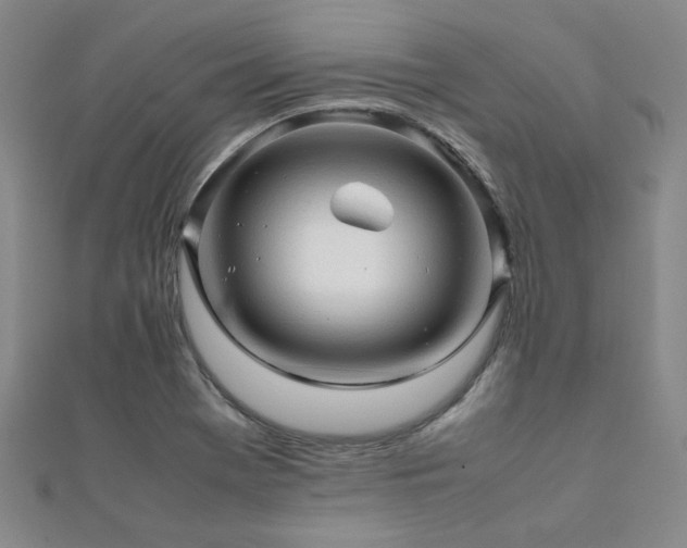 X0000112091369200908041441