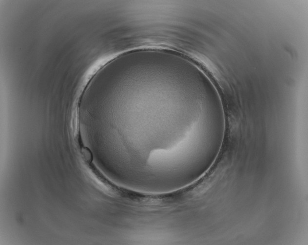 X0000112091371200908041441