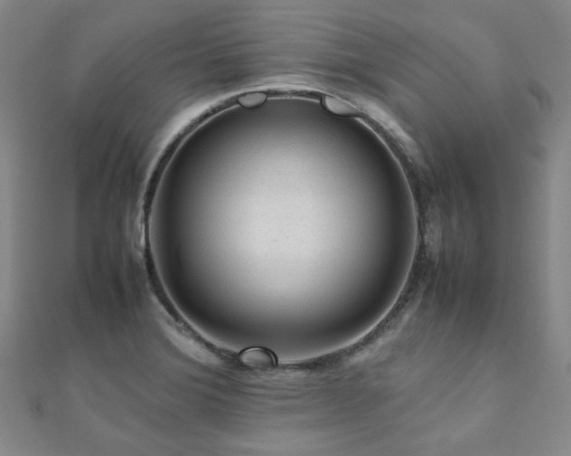 X0000112091372200908041441