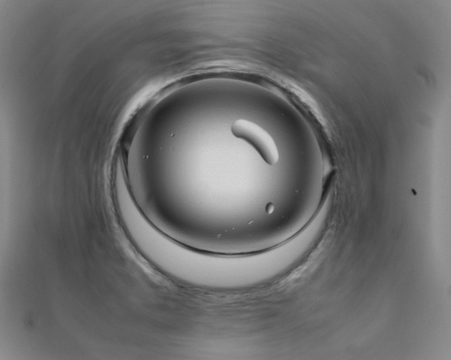 X0000112091373200908041441