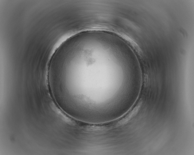 X0000112091374200908041441