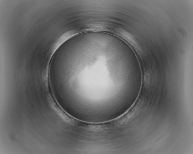 X0000112091378200908041441
