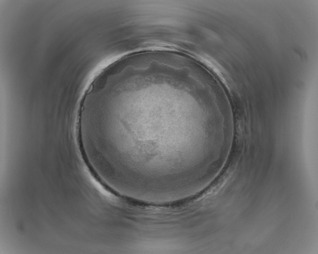 X0000112091379200908041441