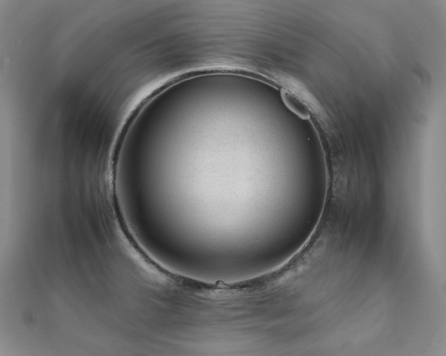 X0000112091380200908041441