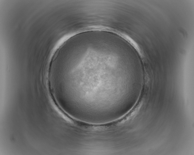 X0000112091381200908041441