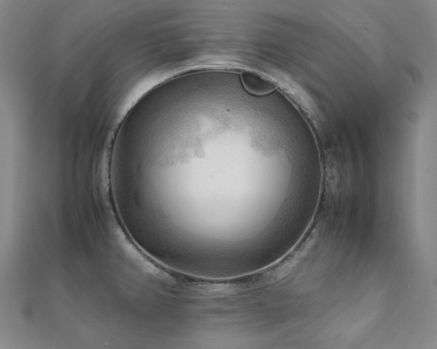 X0000112091382200908041441