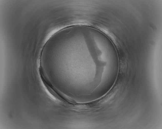 X0000112091383200908041441