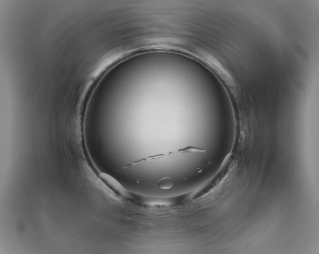 X0000112091384200908041441