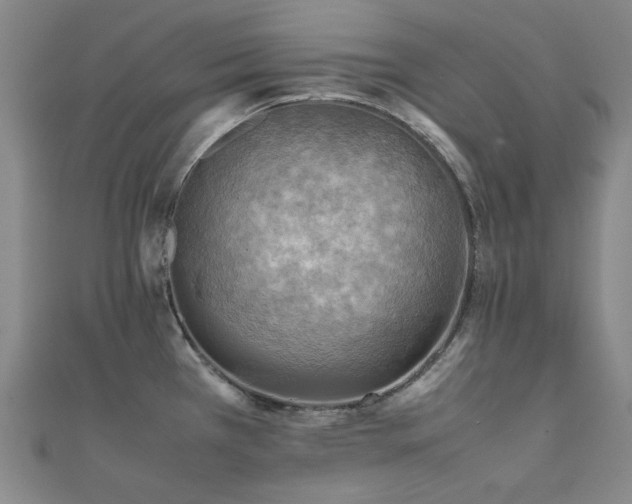 X0000112091385200908041441