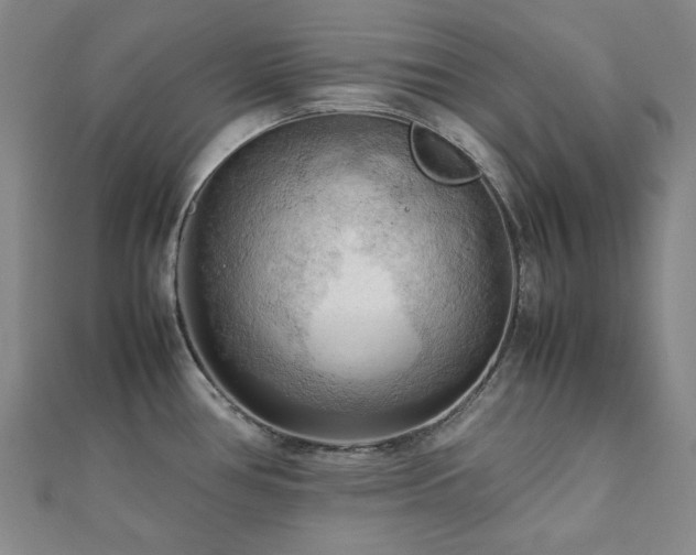 X0000112091386200908041441