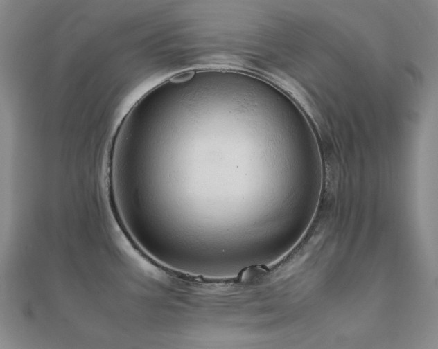 X0000112091387200908041441