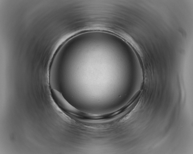 X0000112091388200908041441