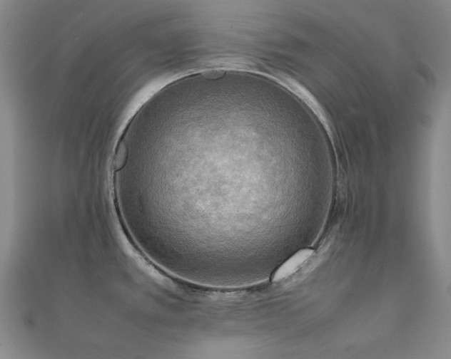X0000112091389200908041441