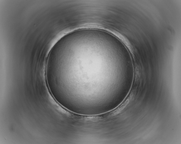 X0000112091390200908041441