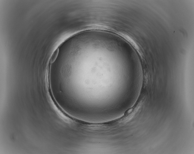 X0000112091391200908041441